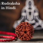 5 Mukhi Rudraksha Advantages in Hindi | 5 मुखी रुद्राक्ष के फायदे और नुकसान एवं नियम