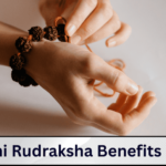 6 मुखी रुद्राक्ष के फायदे or नियम | 6 Mukhi Rudraksha Advantages in Hindi