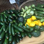 Zucchini 101: Zucchini Well being Advantages + Zucchini Recipes and Cooking Ideas