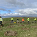 AG and Sons helps UK reforestation with planting of 200 bushes