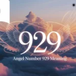 Angel Quantity 929 Which means in Love, Twin Flame, Profession, Cash, and Religious Life