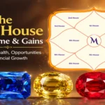 Need Success and Wealth? Your eleventh Home May Be the Hidden Key!