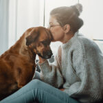 Who Will get the Canine in a Divorce?